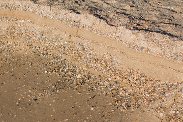 sandy seashore with shells and water
