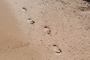 footprints on the sandy shore