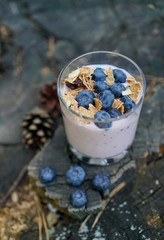 Blueberry yogurt - best kind of yogurt