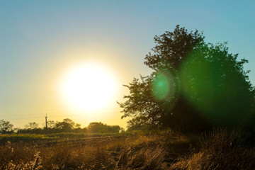 Morning photo of sunrise with a crown of a tree nearby