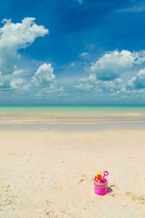 Fototapeta na wymiar toys at the tropical beach