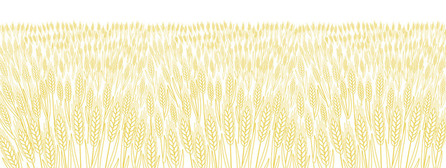 Cereal field. Leaves and ears of wheat wrapper. Agriculture straw. Horizontal banner background. Dry yellow grass meadow. Orange contour vector line. Bread wrapper. © Ilia