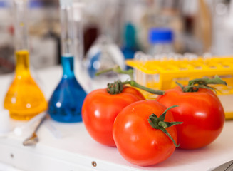 Fresh tomatoes on table on background of laboratory equipment and colored chemical reagents....
