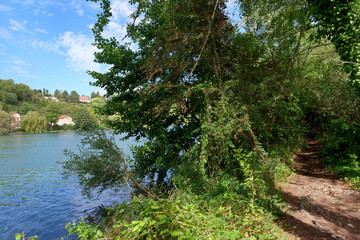 Sermaize nature reserve and Seine river  bank in Seine et Marne country