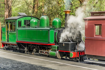Obraz premium Green Steam Train
