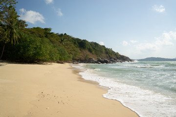 Tropical sandy beach landscape
