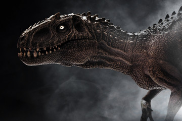 Dinosaur, Tyrannosaurus Rex on dark background - obrazy, fototapety, plakaty