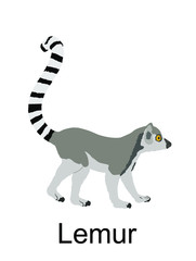 Lemur monkey vector illustration isolated on white background. Funny animal. Ring tail lemur symbol. © dovla982