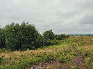 Fototapeta na wymiar country road in a field near trees against a gray sky on a rainy day