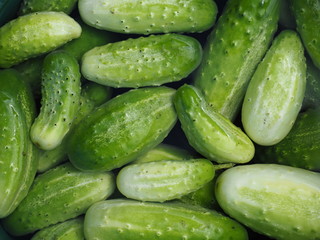 Cucumbers