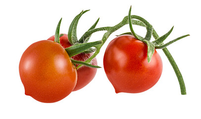 Tomato isolated on white background with clipping path