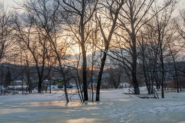 Winter sunset view of bare trees in covered with ice river, Tigrovoe, Primorsky Krai, Russia