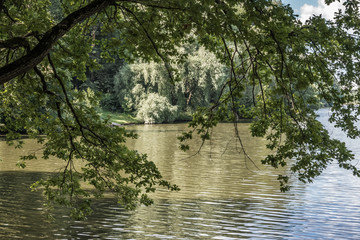 Noon on the Bank of the city pond