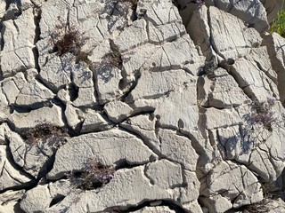 Brac island landscape