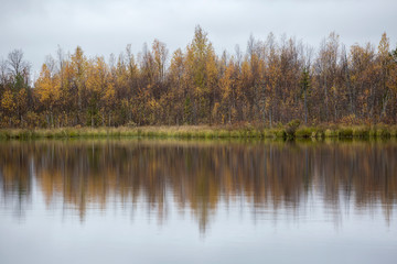 Fototapeta na wymiar Forest lake in Finnish taiga forest during the time of autumn foliage