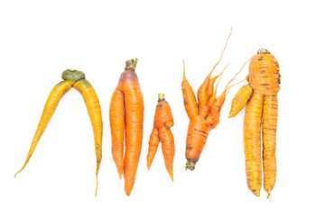 carrots of an unusual shape on a white background