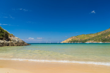 Tropical sandy beach landscape