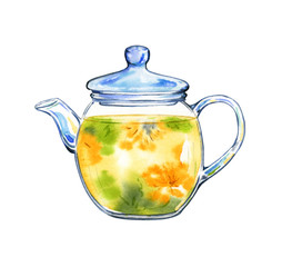 Glass teapot watercolor herbal tea isolated on a white background.