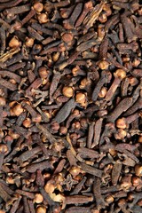 cloves close-up