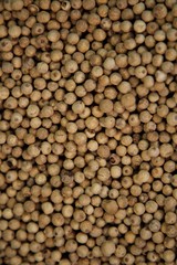 coriander seeds close up, could be used like the background