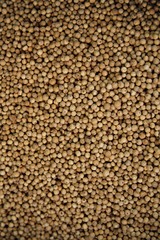 coriander seeds, could be used like the background
