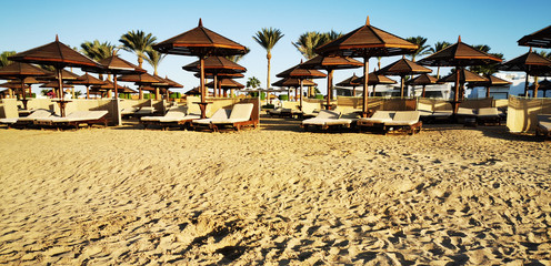 beach in the egypt