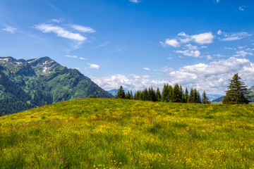 Fototapeta na wymiar Amazing HDR shot of the Swiss Alps near Les Mosses while hiking