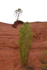 Colorado proven&ccedil;al