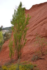 Colorado proven&ccedil;al