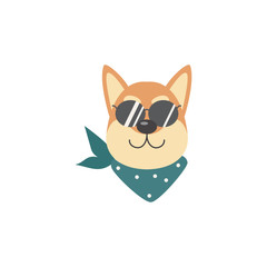 Happy and smiling face of a dog and a shiba inu pet in sunglasses and a scarf.