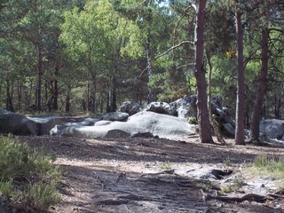Rocher for&ecirc;t fontainebleau