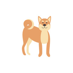 Happy cartoon shiba inu dog standing and smiling - flat isolated pet animal