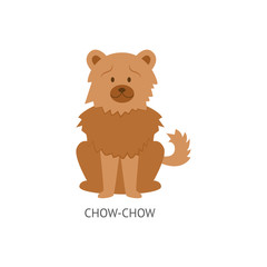 Card of dog breeds with Chow-chow furish puppy flat vector illustration isolated.