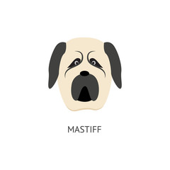 Cartoon mastif dog head isolated on white background
