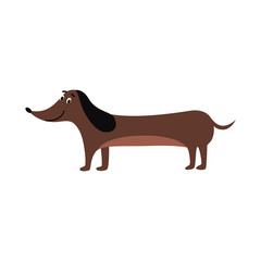 Dachshund drawing - cute brown sausage dog standing and smiling