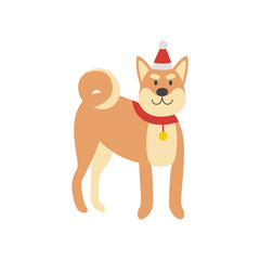 Shiba Inu dog in Santa red hat and scarf flat vector illustration isolated.