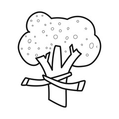Obraz premium Isolated object of broccoli and doodle icon. Set of broccoli and salad stock symbol for web.