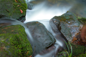 small waterfall in torest