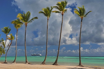 Palms, sea, white sand and blue sky
