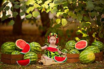 Baby girl sitting outdoors in summer and eating ripe watermelons. Harvesting