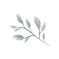 Obraz premium Branch Background Hand Drawn Illustration 