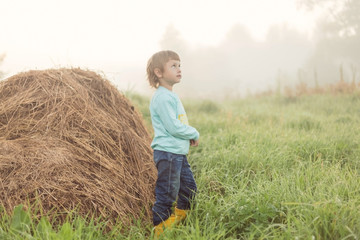 Naklejka na ściany i meble A girl stands next to a stack of dry grass against a foggy landscape