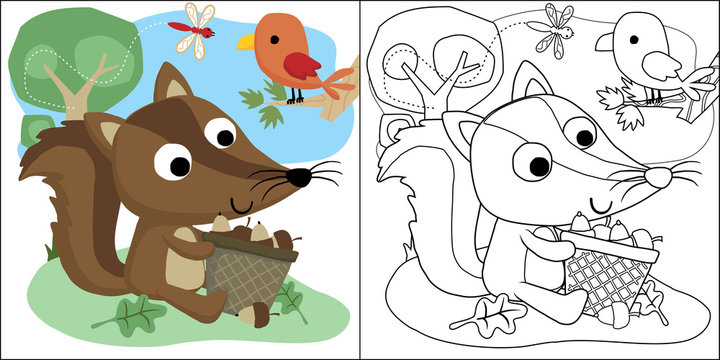 vector cartoon of woodland animals cartoon, squirrel with lot of nuts, coloring book or page