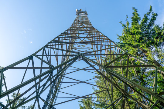 symetische Aufnahme eines Mobilfunk- Mastes im Wald bei Wehlen, Rauensteine in der s&auml;chsichen Schweiz