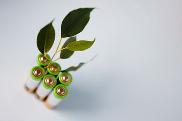 AA alkaline batteries