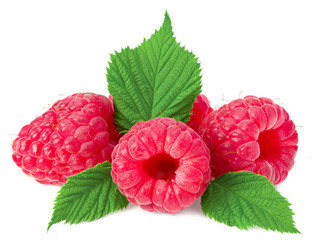 ripe raspberries with green leaf isolated on white background macro