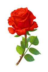 vector realistic rose flower art