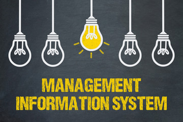 Management Information System  © magele-picture