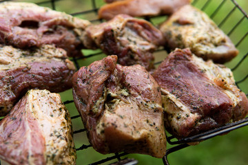 grilled beef steak