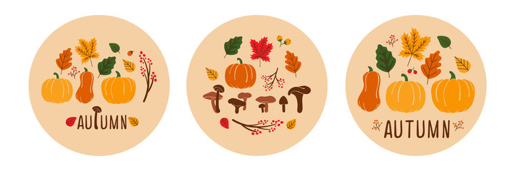 Autumn cards. Set of three color trendy vector illustrations. Hand-drawn various mushrooms, pumpkins and leaves. Flat design. Round stickers, logo, t-shirt design
